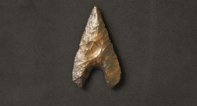 Concave-based bifacial arrowhead | UC10909, UCL Petrie Museum of Egyptian Archaeology, 2017, Dr. Joanne Rowland, Dr. Geoffrey Tassie, The Neolithic in the Nile Delta, Edition Topoi, DOI: 10.17171/1-9-1766-1